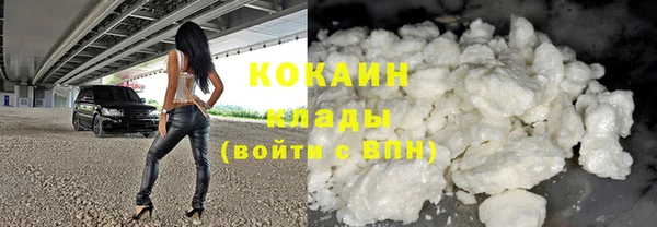 прущие грибы Горнозаводск