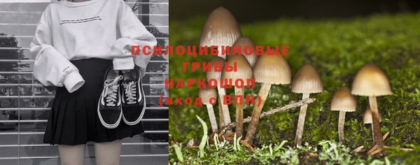 эйфоретик Горняк