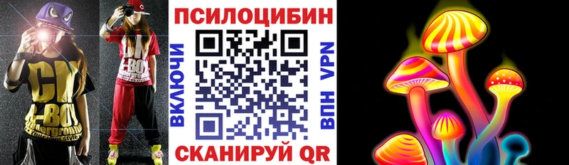 где продают   Дзержинский  Галлюциногенные грибы Psilocybine cubensis 